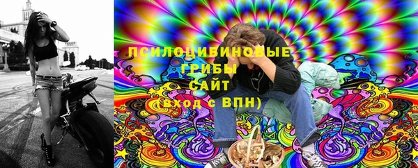 ALPHA-PVP Бердск